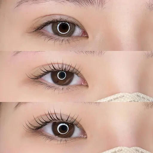 ラッシュリフト