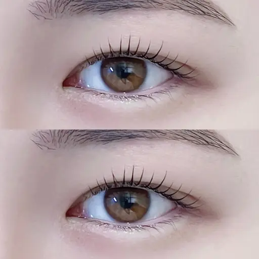 💎《美眉スタイリング[アイブロウ]＋まつげパーマ🪽》コーティング付で垢抜けEYE👀🤍✨【再来¥8,960】