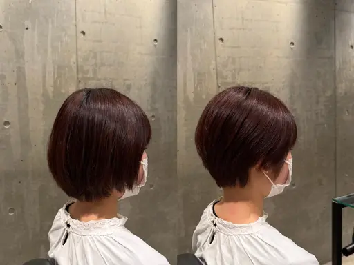 【✨先着1名様限定✨】レディースショートカット+トリートメント 無料モデル募集中🎆