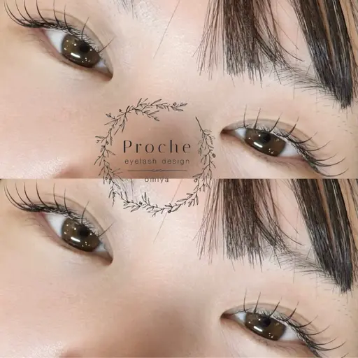 フラットラッシュ100 コーティング付き