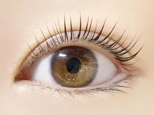 ✨🌸🌷新規限定パリジェンヌラッシュリフト上✨🍬