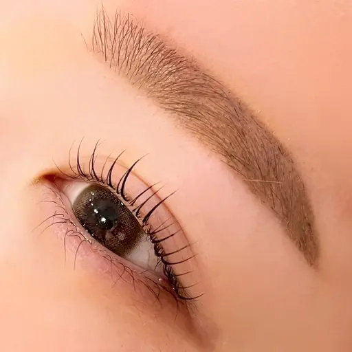 5/12(火)10:00~ 眉WAX無料モデル 女性限定👸🏻