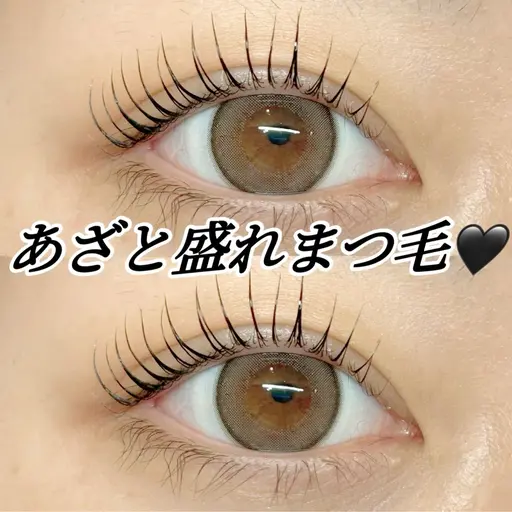 ［🎏5月限定🌱］口コミサービスコーティング付きまつ毛パーマ🩵
