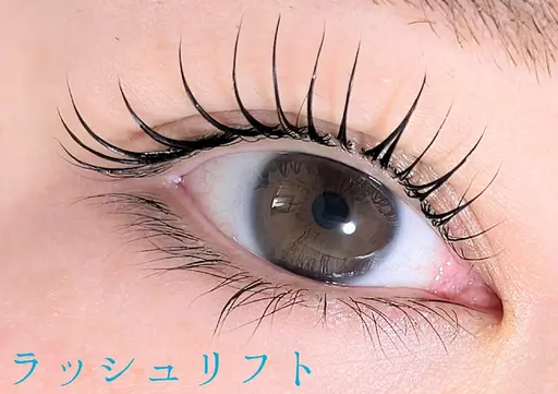 🎀ラッシュリフト/まつ毛パーマ🎀