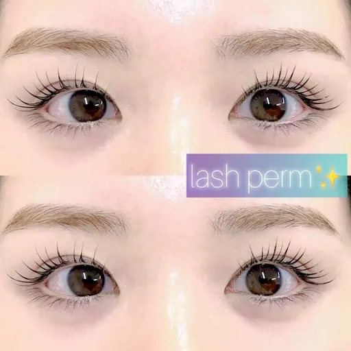 モデル様募集💕💕 まつ毛パーマ＋コーティング仕上げ付✨