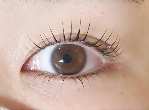 上下まつ毛パーマ🧚🏻‍♀️4/16→14:45~.16:30~、4/21→14:45~.16:30~