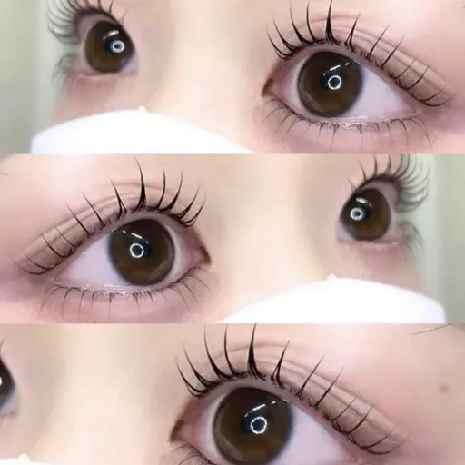 ✨韓国発✨ マスカラパーマブラックティント付きパリジェンヌorラッシュリフト⚠️補足説明欄必読⚠️