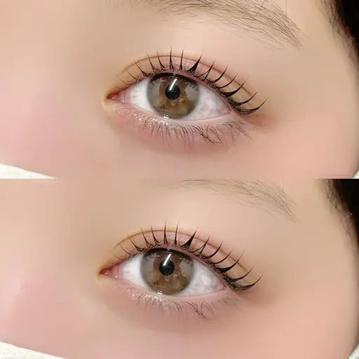 マスカラまつ毛パーマ（ブラックTR付き）