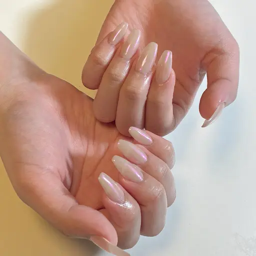 【パラジェル】チップ長さだし10本 ワンカラー・ラメ全体塗り・マグネット（自店他店オフ無料）