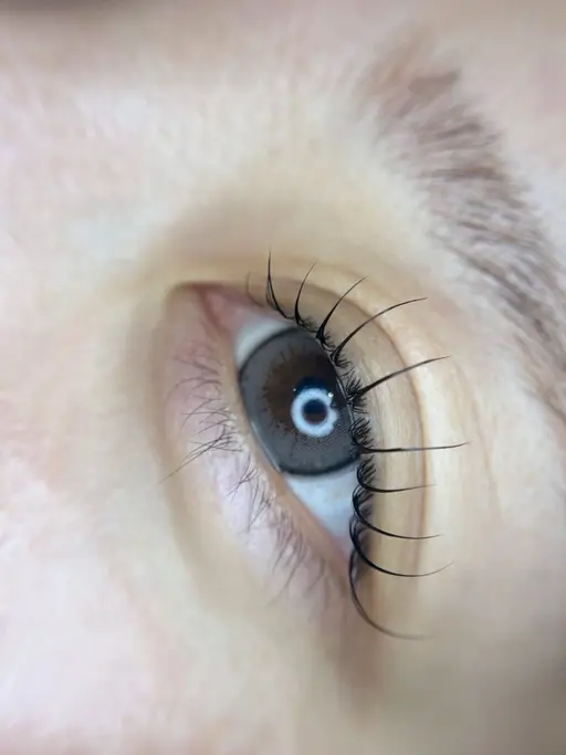 【4/24限定】マツパ/パリジェンヌ ¥3500