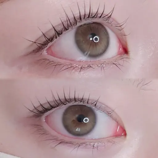 🎀無料🫧モデルパリジェンヌラッシュリフト ⚠️お直し不可⚠️