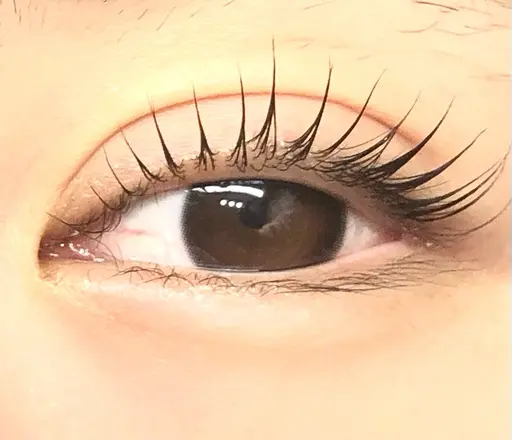 ぱっちり又はLカールなど　施術者希望デザインであげさせてくださる方限定♡ 美容液サービス　◾️4/19.20.21限定