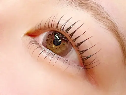 上下まつ毛パーマレッスンモデル🫧⚠️エクステオフ不可⚠️注意事項必読⚠️