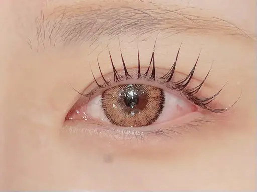 早朝メニュー【コーティング仕上げ】ラッシュリフト