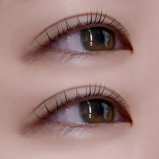 ナチュラル盛れ束感まつげパーマ🎀 4/30まで限定価格