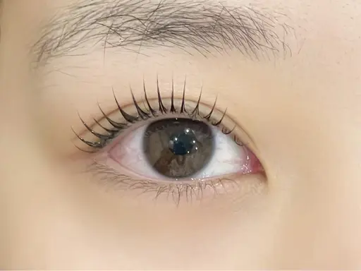 ❗️4/21限定❗️♩【オフなし】まつ毛パーマモデル♩