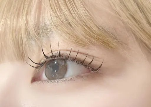 【期間限定★ミニモSALE★LED 追加無料★オフ無料】フラット 120 本+アンドヘルシー(エクパ)