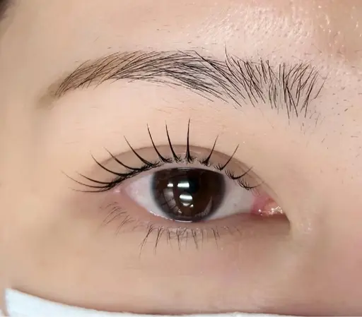 【川崎4/23限定】　13:00-14:00 下まつげパーマモデル募集⚠️予約する前に詳細確認お願い致します