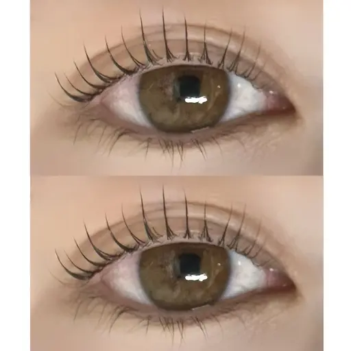 【4月20日​〜​4月26日限定】🌷まつげパーマ🌷コーティング付き👀（１時間半程度）