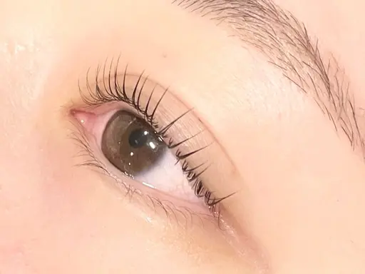 【育休明けレッスンモデル】🌿まつパ/パリジェンヌラッシュリフト🌿10​〜​最終15時🌿※デビュー前モデルではありません