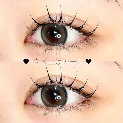 ❤️‍🔥当日限定ゲリラクーポン❤️‍🔥ご新規様まつ毛パーマ(ケラチントリートメント付き)¥4400