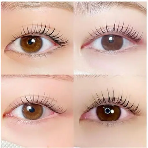 【1日3名様限定☆】🍫パリジェンヌラッシュリフト🍫4980円🐈‍⬛🐾