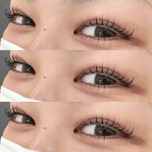 【🧸🎀minimo限定価格🧸🎀】プレミアム上下まつげカール