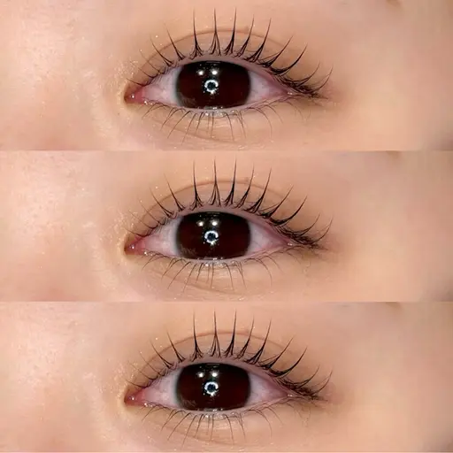 ケラチンラッシュリフト高濃度Tr付🌿🩵コーティング仕上げ