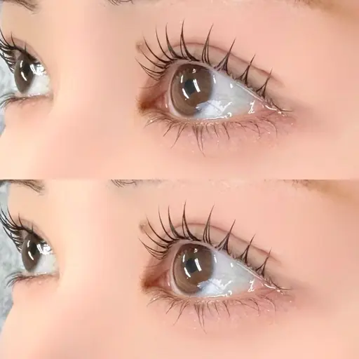 すぐ予約◎無料✨️まつげパーマモデル募集！女性限定👧🏻‎💞撮影可能な方のみご予約お待ちしております！