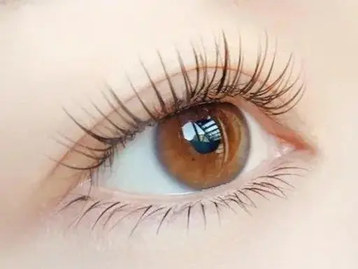 🤍【オフ無し・付け足し不可】【上100～120本】＋￥500でフラットラッシュに変更可