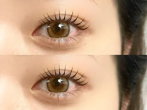 束感仕上げラッシュリフト(上まつげのみ)🌼