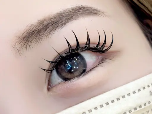 モデル募集フラットラッシュ120本（アイパック&コーティング付き）