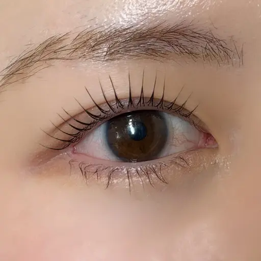 🫧まつ毛パーマ(上のみ)🫧束感コーティング仕上げ