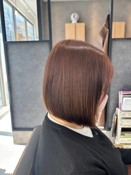 🐈🧶ボブカット🐈🧶