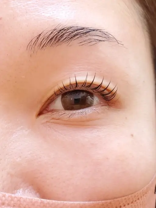 抗菌ラッシュリフト