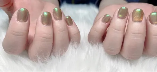 マグネットネイル➕(当店付替¥1.100)(他店付替¥1.650)