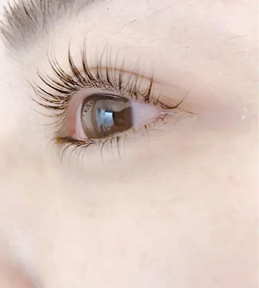 【平日限定❗️】パリジェンヌラッシュリフト※美容液コーティング付