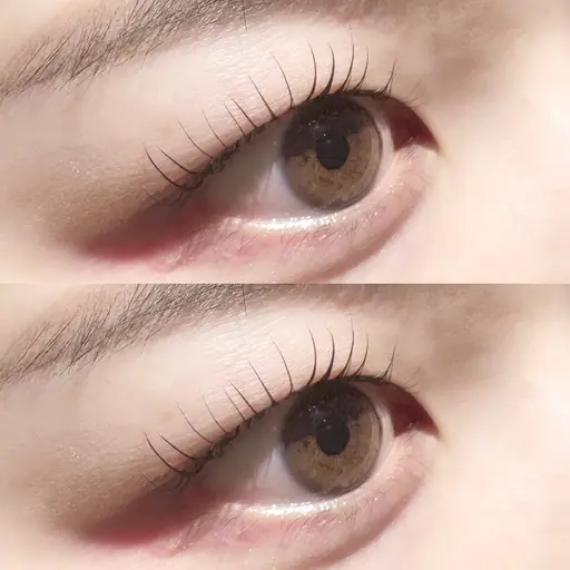 まつげパーマ🎀 束感コーティング付き🫧