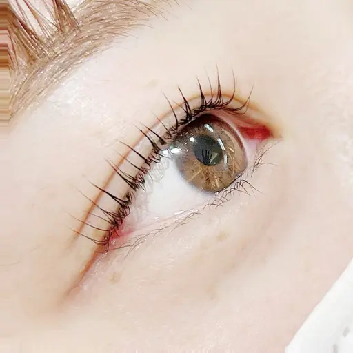 予約リクエストも受付♪ベテラン担当👑まつげパーマ/パリジェンヌラッシュ/コーティングトリートメント仕上げ