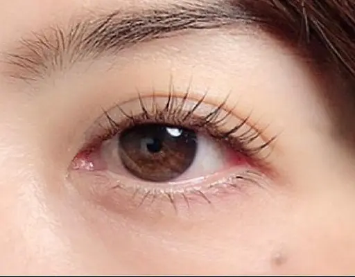 【13時45分限定】人気のLash Lift『次世代パーマ』＆ブラックティント