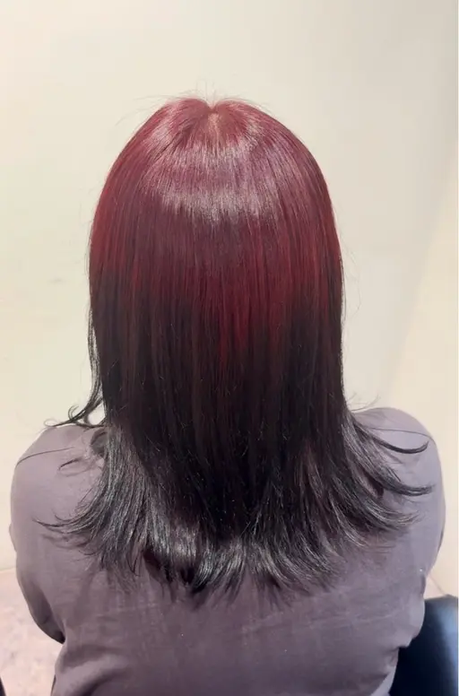 🎀デザインカラー  （インナーカラー、エンドカラー、ルーツカラー、イヤリングカラー）