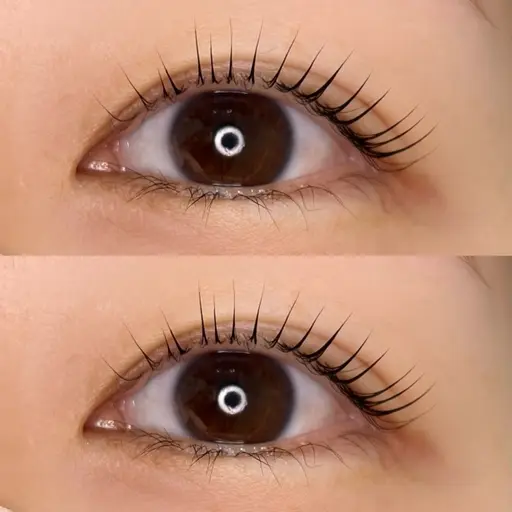 当日限定価格🤍パリジェンヌラッシュリフト✨