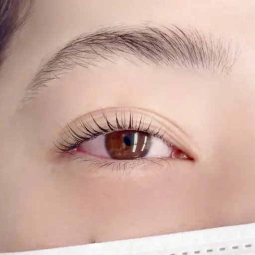 【人気No.1】上品可愛い 上まつ毛パーマ コーティング付き🤍🤍