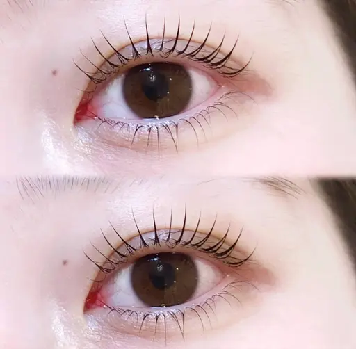 LEDマツエク(80本)🫧✨練習モデル4/24 10:00/12:00