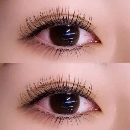 【無料モデル】　セーブル80本