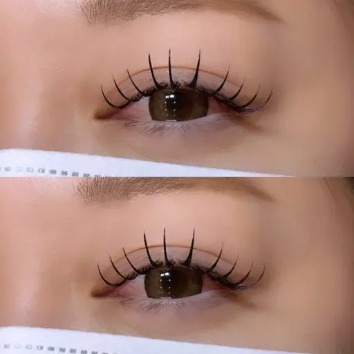 期間限定価格🌟【バインドロック80束】自然な濃さ×もちの良さ🌿