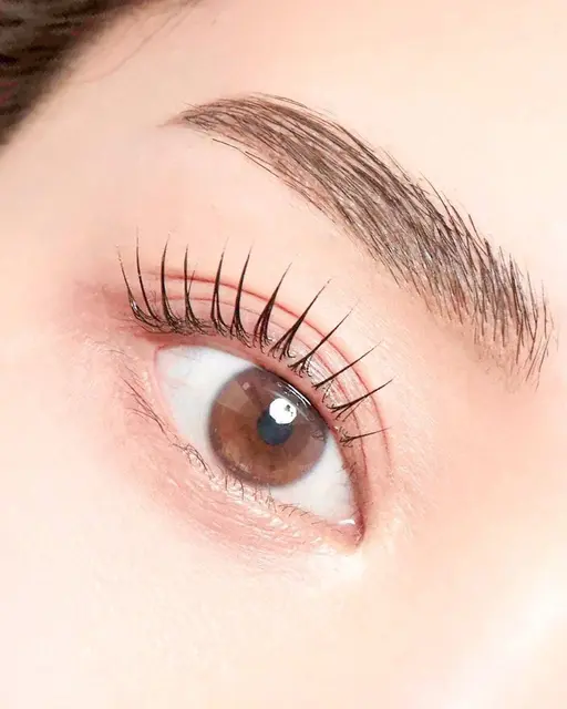 🐰まつ毛パーマ&アイブロウワックス🤍✨