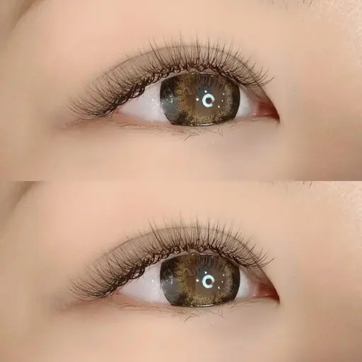 1日2名様限定✨オフなしボリュームラッシュ3D or 5D 120束