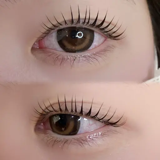 【モデルメニュー】パリジェンヌorまつ毛パーマ