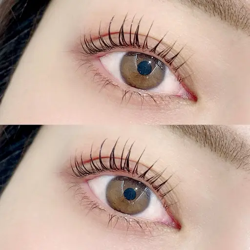 ✨📸写真撮影モデル様募集📸✨上下まつ毛パーマ🫧【注意事項必読】